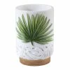 Best reviews of π Tumblers Avanti Viva Palm Tumbler π₯ 2 Best reviews of π Tumblers Avanti Viva Palm Tumbler π₯ -Cheap Avanti Store unnamed file 926